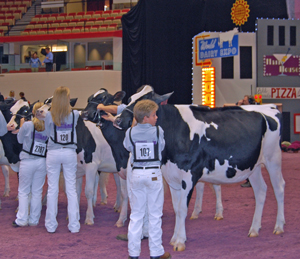 Junior Show 2