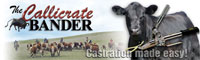 Callicrate Bander