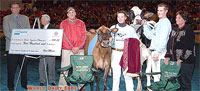 2005 Junior Supreme Champion