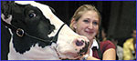 showing cattle