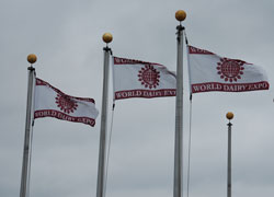 WDX