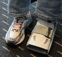 World Dairy Expo Guess Whose Boot