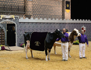world dairy expo 2010 champions