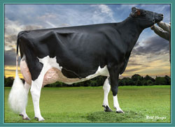 world dairy expo 2010 frosty