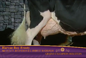 world dairy expo 2010 frosty