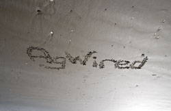 AgWired on the Beach