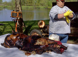 Party Pig
