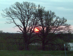 Sunrise
