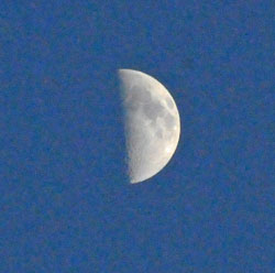 Texas Moon
