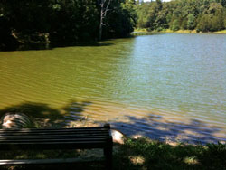 Trimble Lake