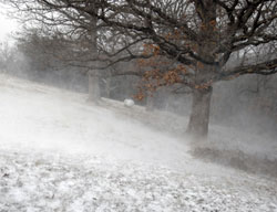 Winter Blast