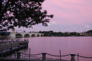 rosy river